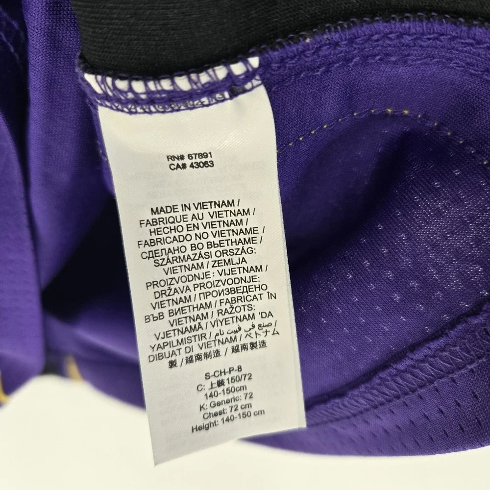 Nike Jordan Los Angeles Lakers Anthony Davis #3 Swingman Jersey Youth Small S